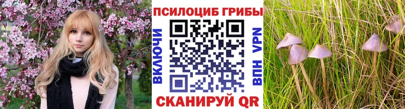 Псилоцибиновые грибы Magic Shrooms Феодосия
